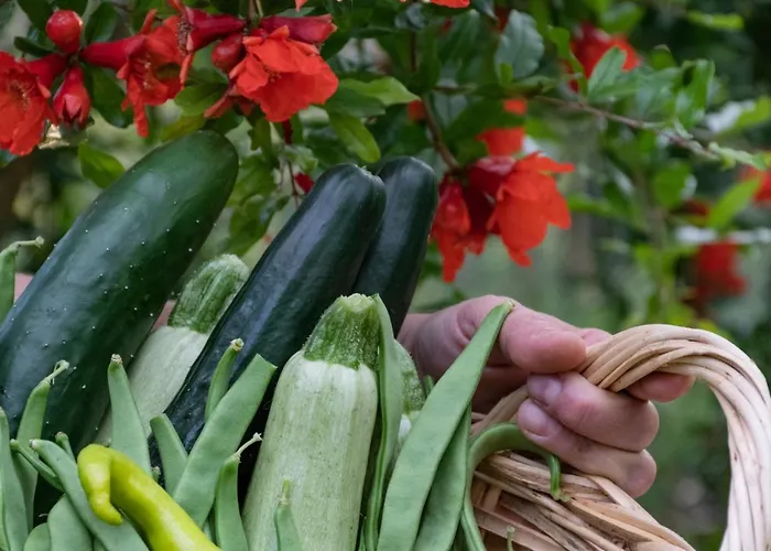 Sinanis Garden House