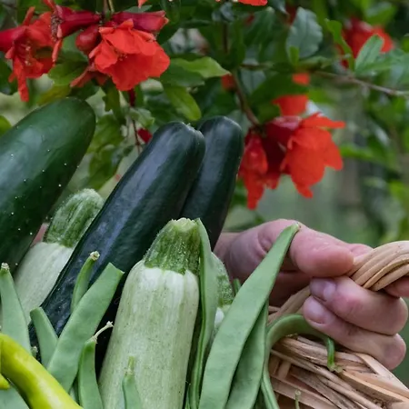 Sinanis Garden House