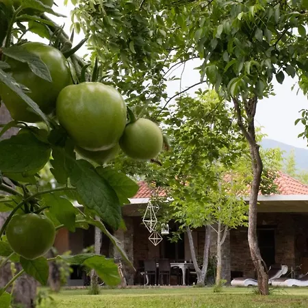 Sinanis Garden House Vólos