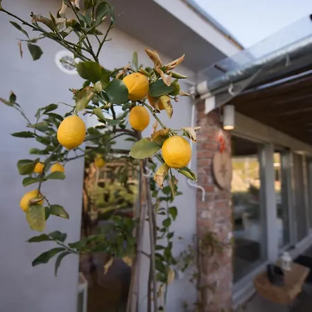 Sinanis Garden House Volos