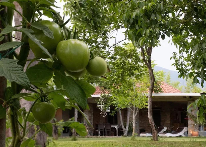 Sinanis Garden House Wolos