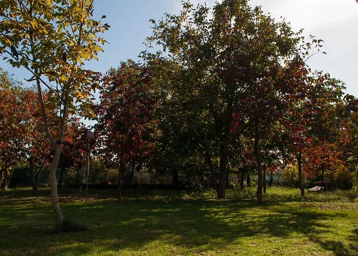 Apartman Sinanis Garden House