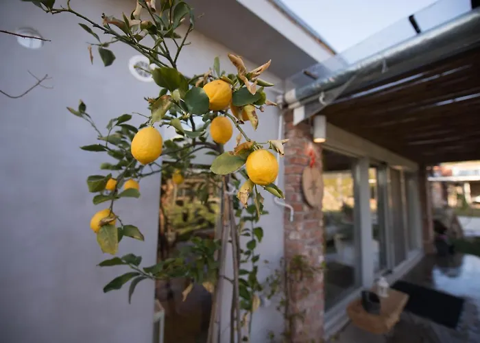 Sinanis Garden House Vólosz